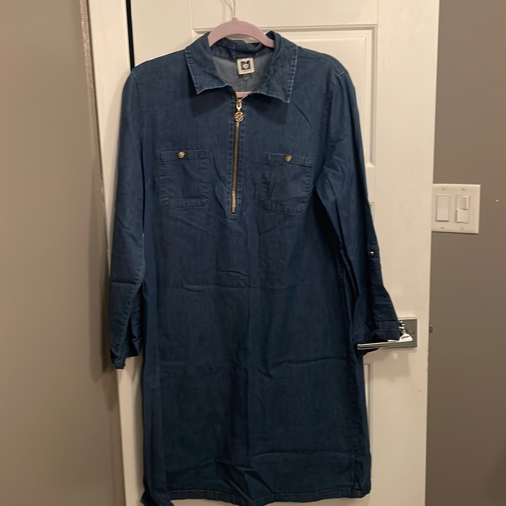 Daren denim knee length dress